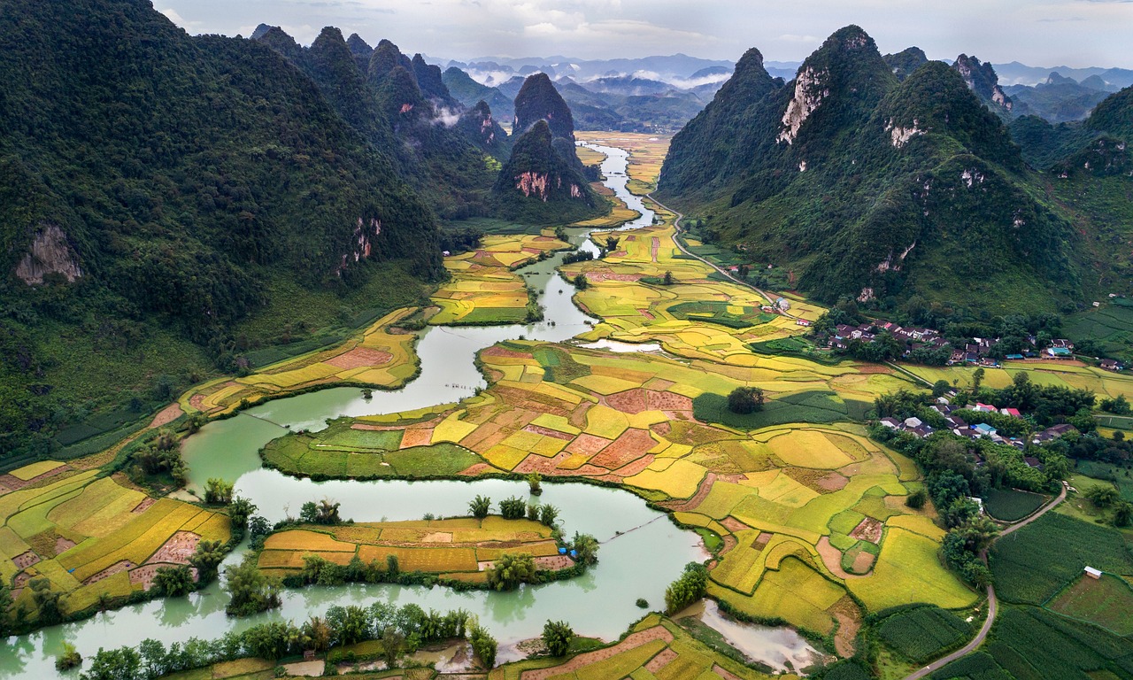 le Vietnam