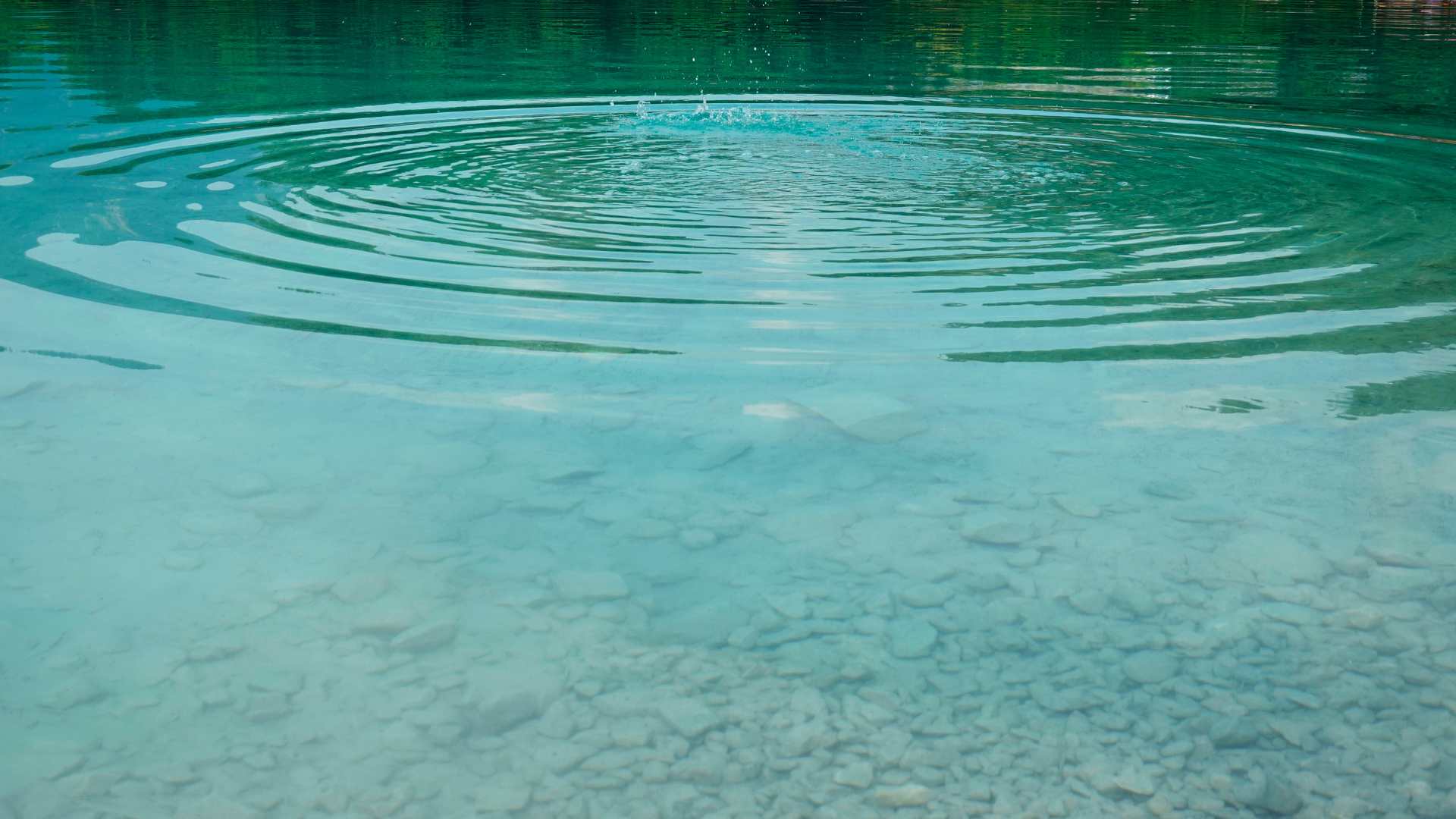 Lac