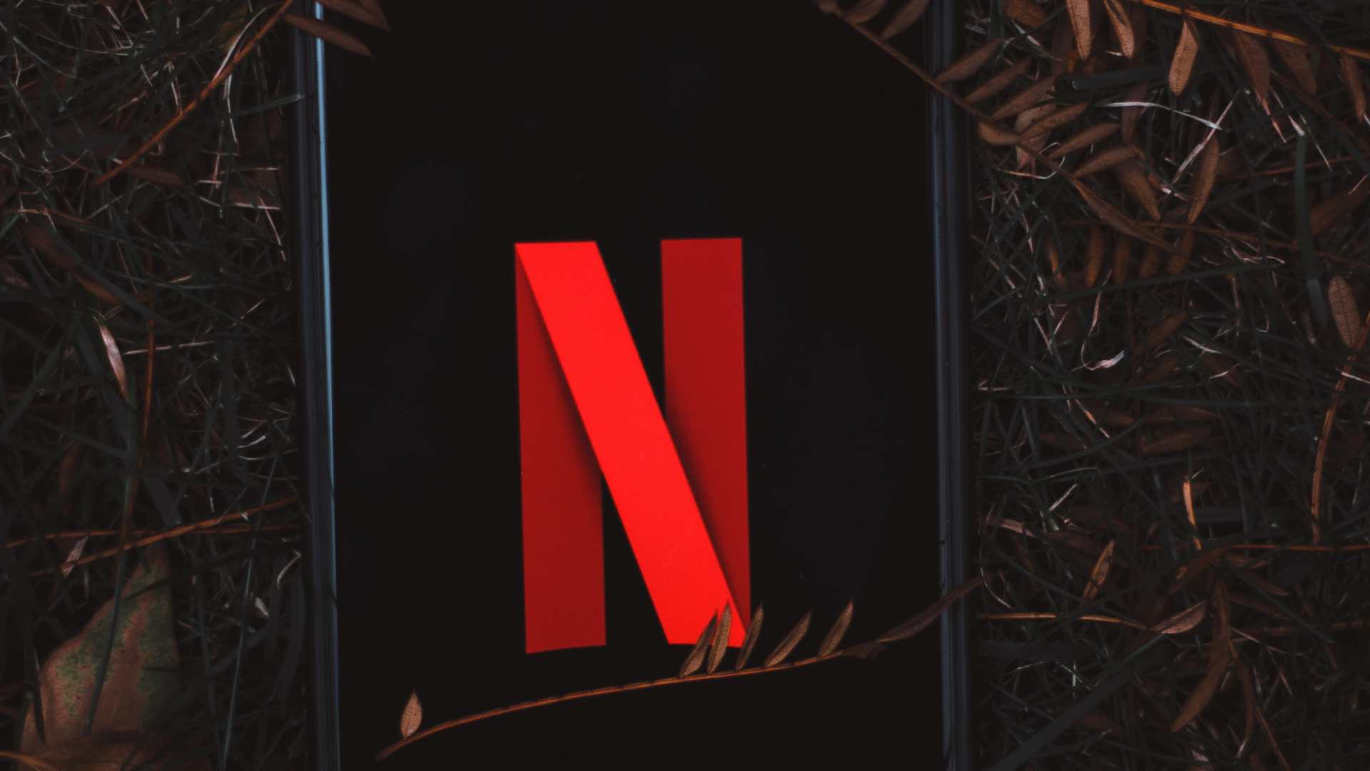 Logo netflix