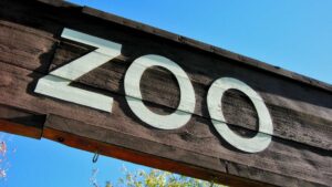 Zoo